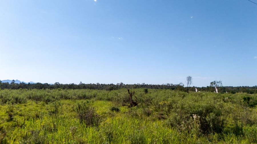 Commercial Property for Sale in Plettenberg Bay Rural Western Cape